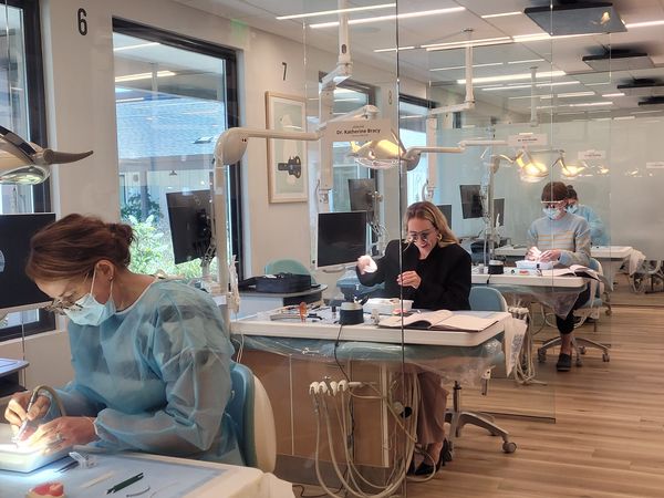 Bioclear course moment